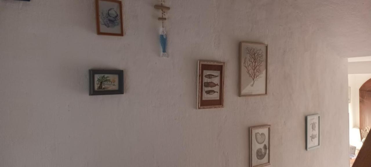 Appartement Anna à Biograd Na Moru Extérieur photo